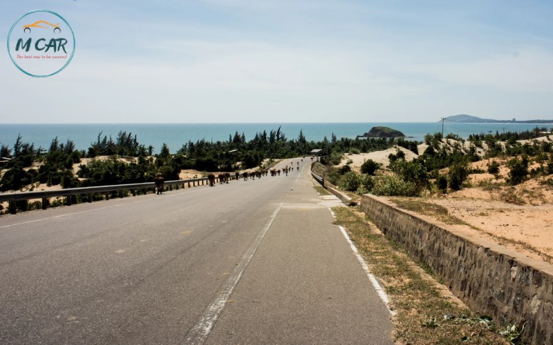Mũi Né đi Nha Trang mất bao lâu?
